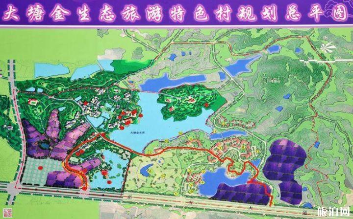 大塘金香草谷几月份 大塘金香草谷营业时间+门票+停车