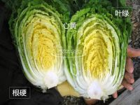 韩式辣白菜的做法步骤1
