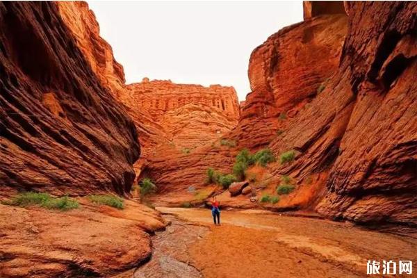 2019北疆入秋了吗 北疆哪里入秋了 2019北疆入秋了吗 北疆哪里入秋了