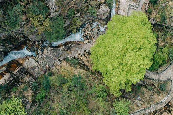 2021南宁大明山风景区山花节免门票活动