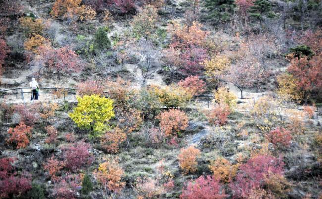 京津冀登山的好地方有哪些