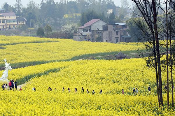 2021重庆忠县灌湖水乡菜花节攻略-时间地点及路线