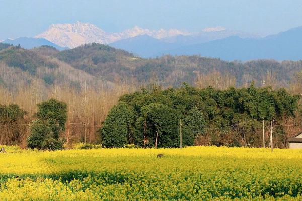 2021成都金堂油菜花节时间-地点-活动介绍