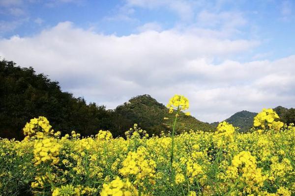 2021广州从化石门森林公园游玩攻略 从化石门森林公园交通及住宿