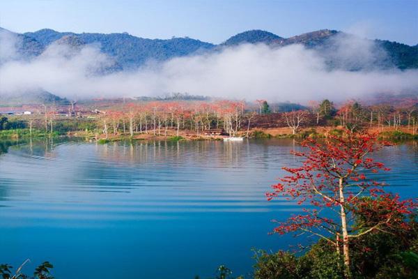 2021昌江木棉花最佳观赏地点 昌江木棉花旅游攻略