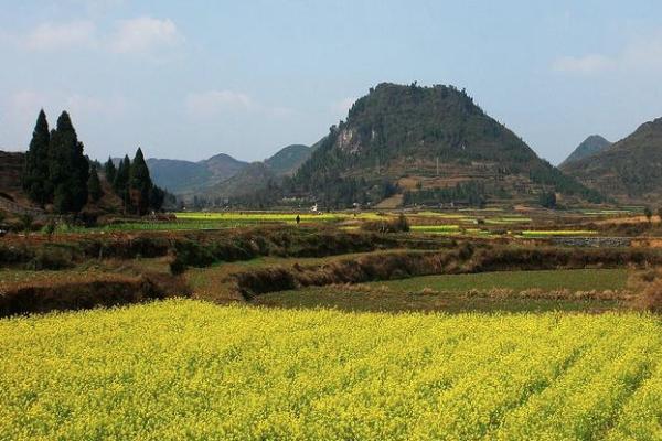 2021长沙油菜花欣赏有哪些地方 长沙油菜花景点推荐