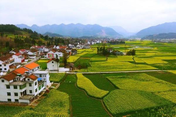 西安到汉中油菜花专列有哪些 汉中油菜花最佳观赏地