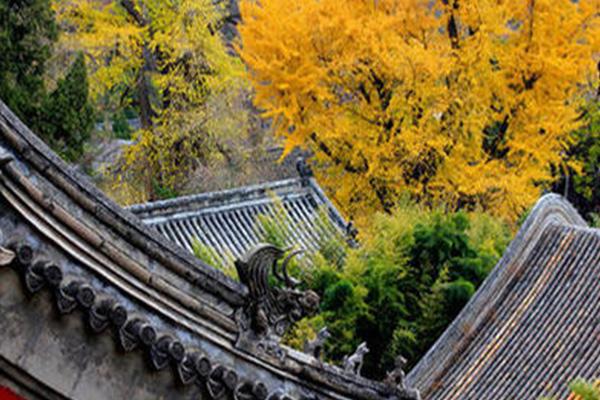 2021年3月16日起北京潭柘寺有序恢复开放寺内宗教场所和宗教活动