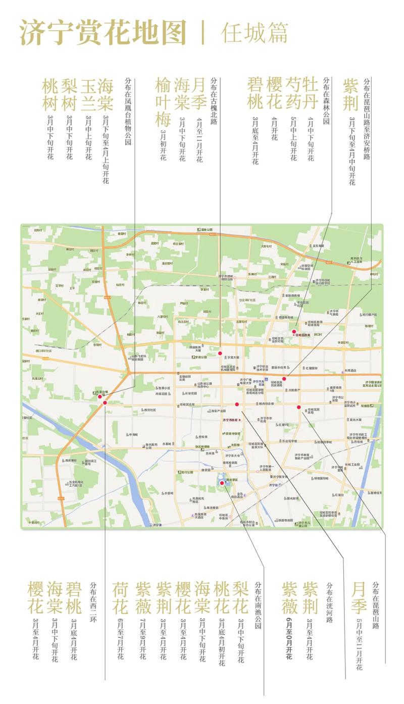 2021济宁最新赏花地图 济宁赏花去哪里