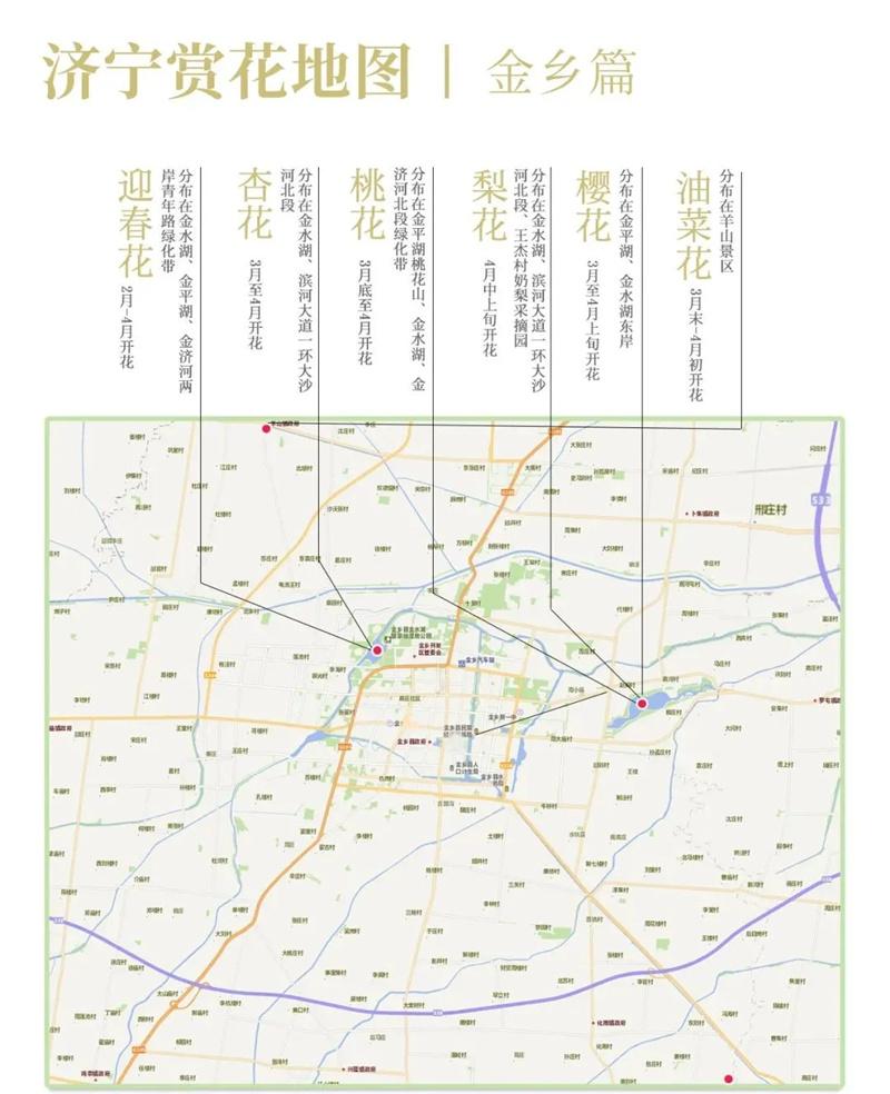 2021济宁最新赏花地图 济宁赏花去哪里