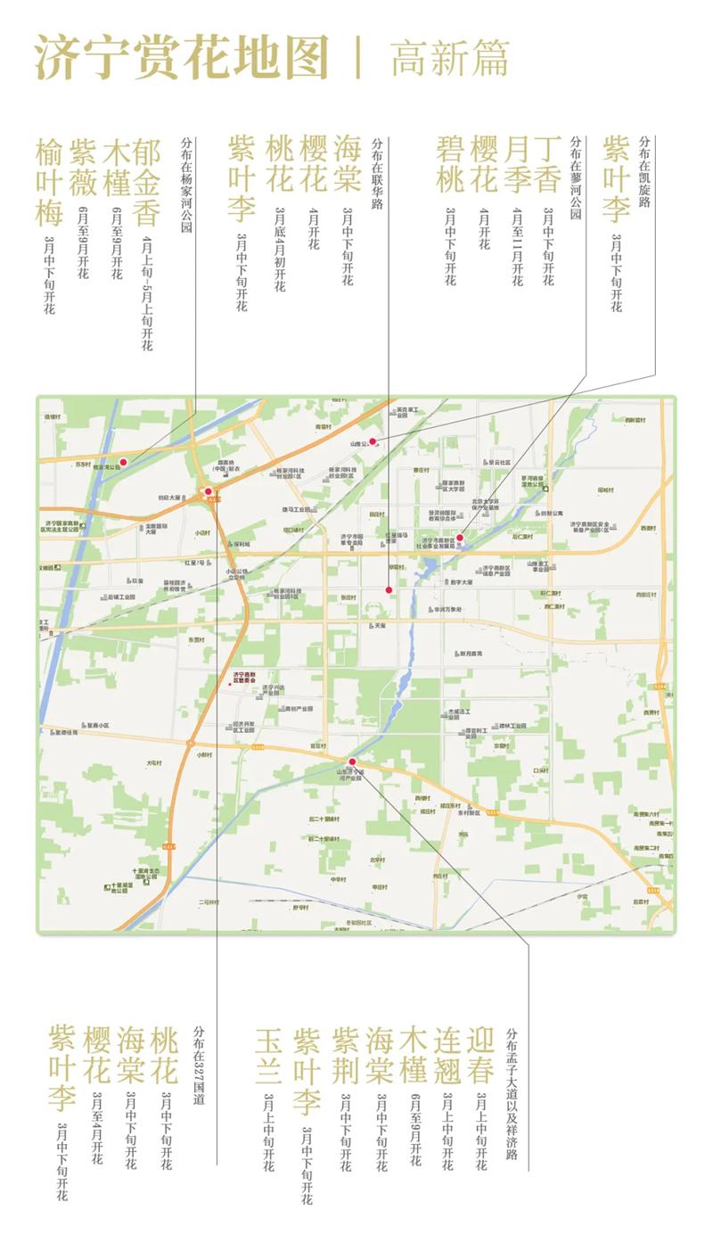 2021济宁最新赏花地图 济宁赏花去哪里