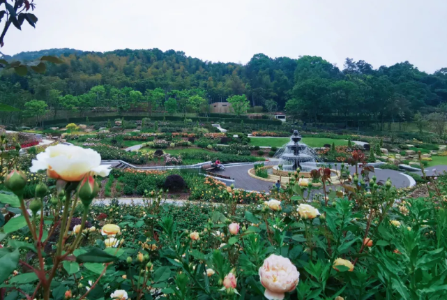 2021上渚山奇幻谷花朝节活动介绍 花朝节体验官有哪些优惠