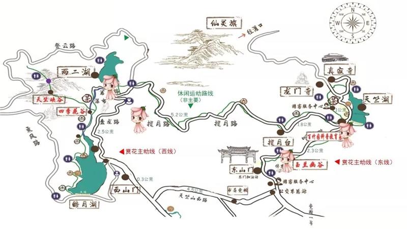 2021厦门天竺山桐花节时间地点及活动介绍