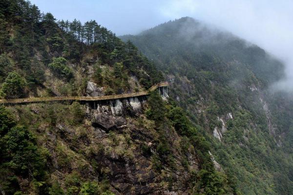 2021明月山风景区景点介绍 明月山风景区门票优惠政策