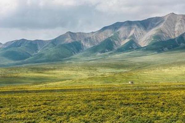 祁连山草原几月份去最好 祁连山草原旅游攻略