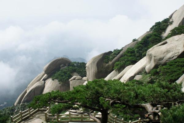 2021年天柱山风景区门票免费卡办理时间-办理指南