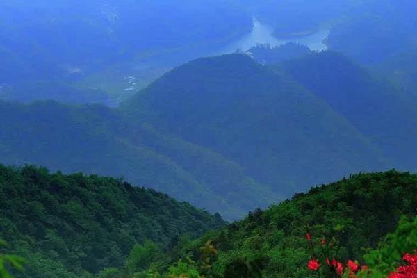 杨岐山在哪里怎么去-门票多少钱