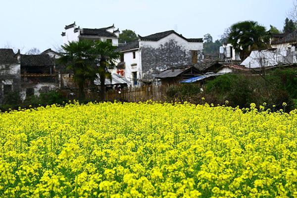 婺源李坑景区门票价格 李坑值不值得去