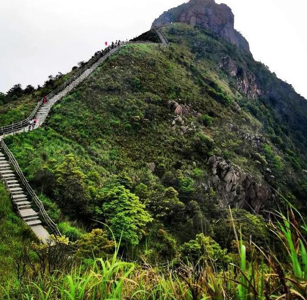 东莞免费旅游景点