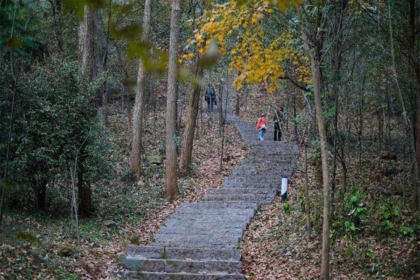 南京夏天适合带孩子玩的十个地方