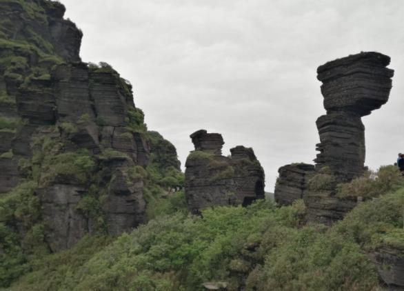 梵净山一日游攻略旅游攻略