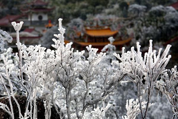 福建哪里看雾凇 福建看雾凇哪里好