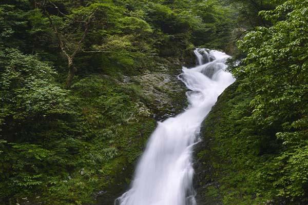 2021井冈山春节期间门票优惠活动有哪些