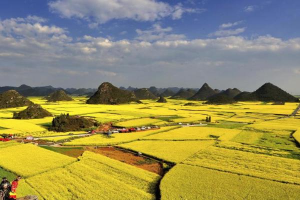 2021长沙油菜花欣赏有哪些地方 长沙油菜花景点推荐