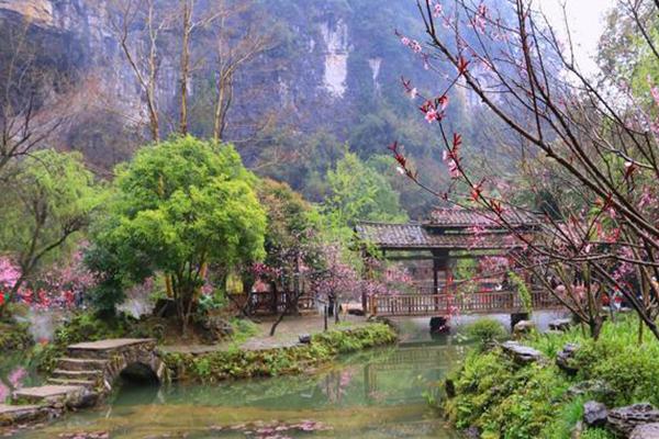 2021酉阳桃花源最佳旅游时间-景点介绍