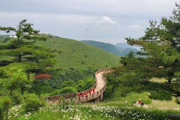 湖北哪里可以避暑 湖北避暑胜地