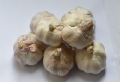 两河大蒜