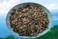 萝卜苗茶
