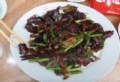 绥江酒香虫