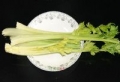 崇信芹菜