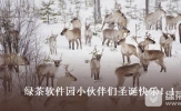 必应圣诞贺卡制作图文教程 必应搜索怎么制作圣诞贺卡