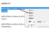 ed2k怎么下载？ed2k链接下载的方法