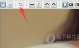 PhotoZoom中如何裁剪图片 这个操作帮你忙
