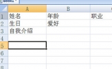 Excel表格怎么加下划线 一个小代码即可
