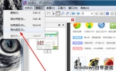 WinDjView怎么截图 导出区域内容的方法
