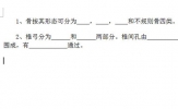 Word怎么做填空题下划线 教你一招批量搞定