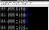 SecureFX怎么传文件 FTP上传技巧