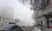 寒潮影响内蒙古 阵风6-7级气温最大降幅达10℃