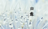 白露节气习俗早知道 别怪我没说