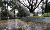 元宵节江南华南阴雨持续 华北黄淮霾现身