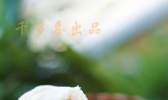 双菇鲜肉包的做法