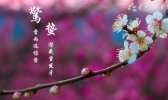 春天怎么排毒
