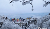 张家界：天门山雾凇云海闹新年