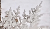 甘肃敦煌雪后初现雪凇景观