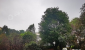 冷空气来袭！湖南未来三天持续阴雨 气温下降注意添衣保暖