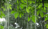 今起三天甘肃陇南多云间晴天 周末将有局地中到大雨